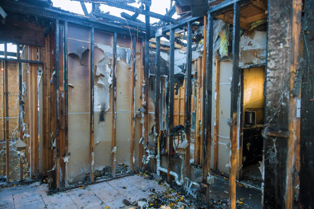 Professional Soot Cleanup technician working in New Paris, OH